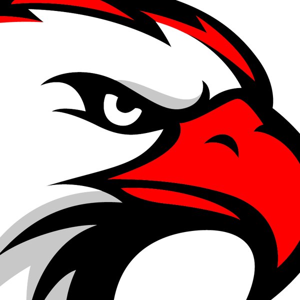 The same eagle detail redrawn as a smooth vector with clean curves
