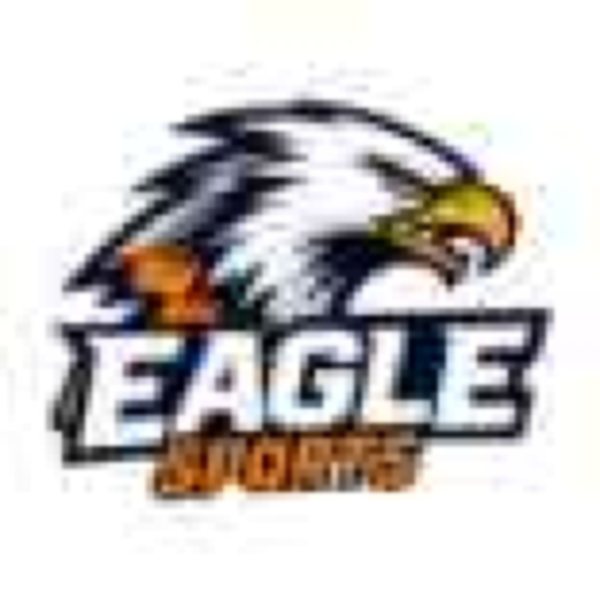 Blurry low-resolution Eagle Sports mascot logo that is not ready for production
